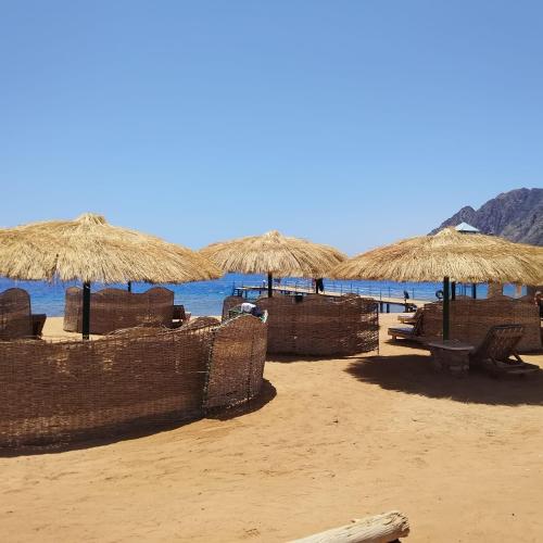 Marina Sharm ELsheikh & Happy Life Dahab  ( HONEY MOON ) 💗