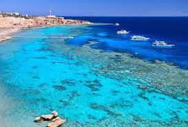 White Island and Ras Mohammed Trip in Sharm El Sheikh  🤍🏔